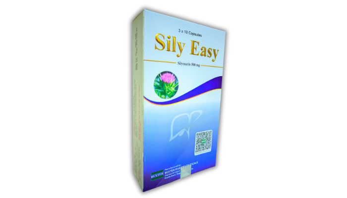 SilyEasy, Sily Easy